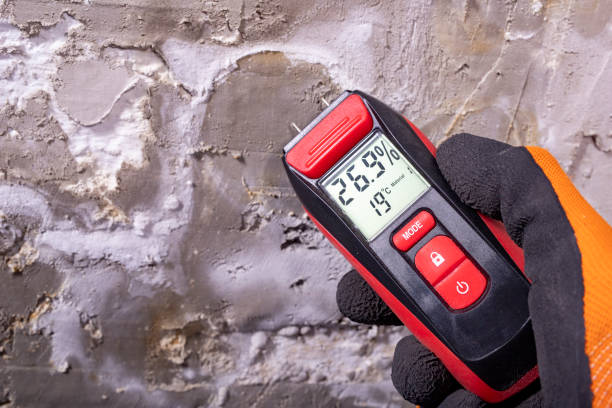 Best Post-Remediation Services in Elk Grove Vlage, IL
